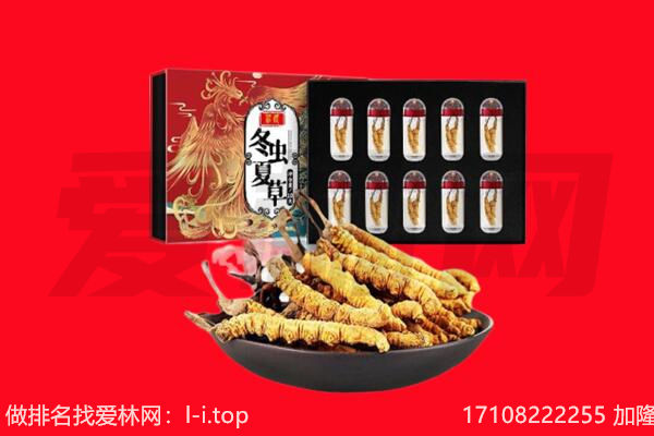 安顺普定县回收虫草.jpg